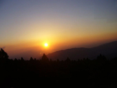 修学旅行