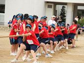 綱引き（準決勝）